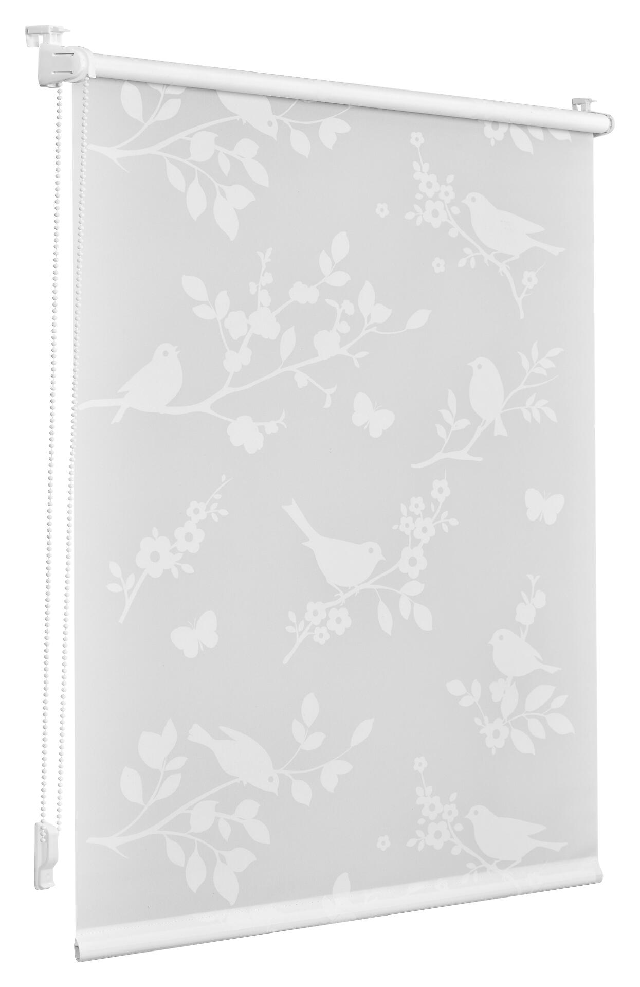 LICHTBLICK Rollo Pflanze weiß B/L: ca. 70x150 cm