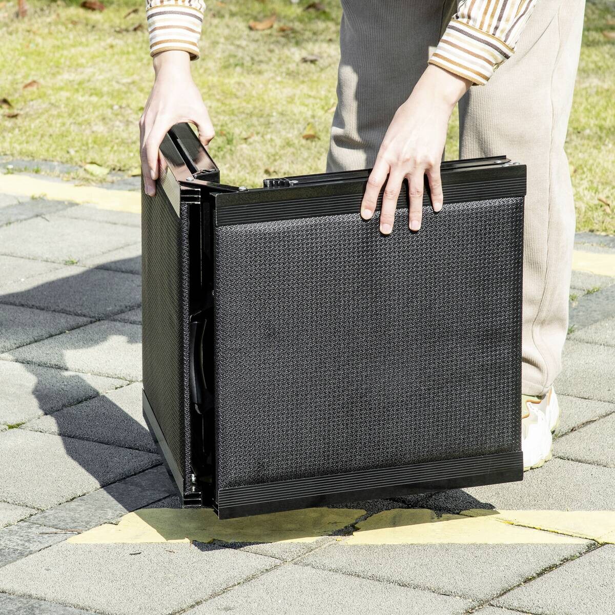 PawHut Klappbare Haustierrampe schwarz Aluminium B/H/L: ca. 43,5x158x2,5 cm