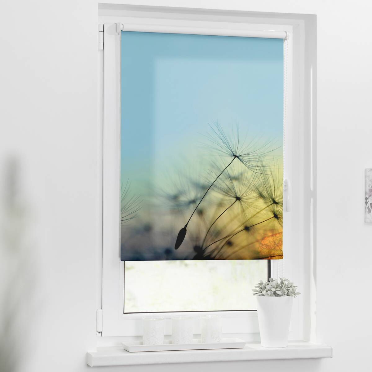 LICHTBLICK Rollo Pusteblume blau B/L: ca. 60x150 cm