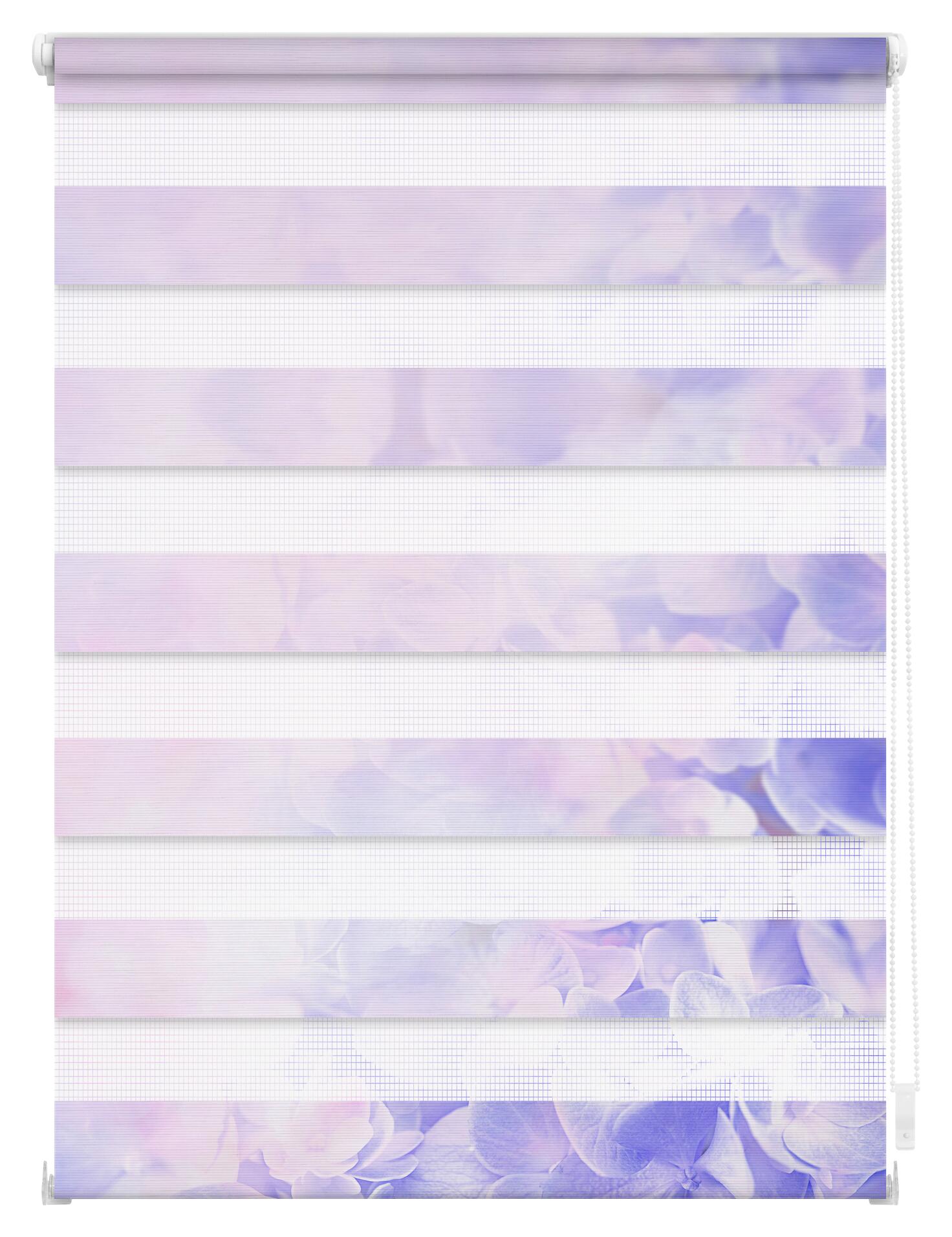 LICHTBLICK Doppelrollo Duo Hortensie lila B/T: ca. 90x150 cm
