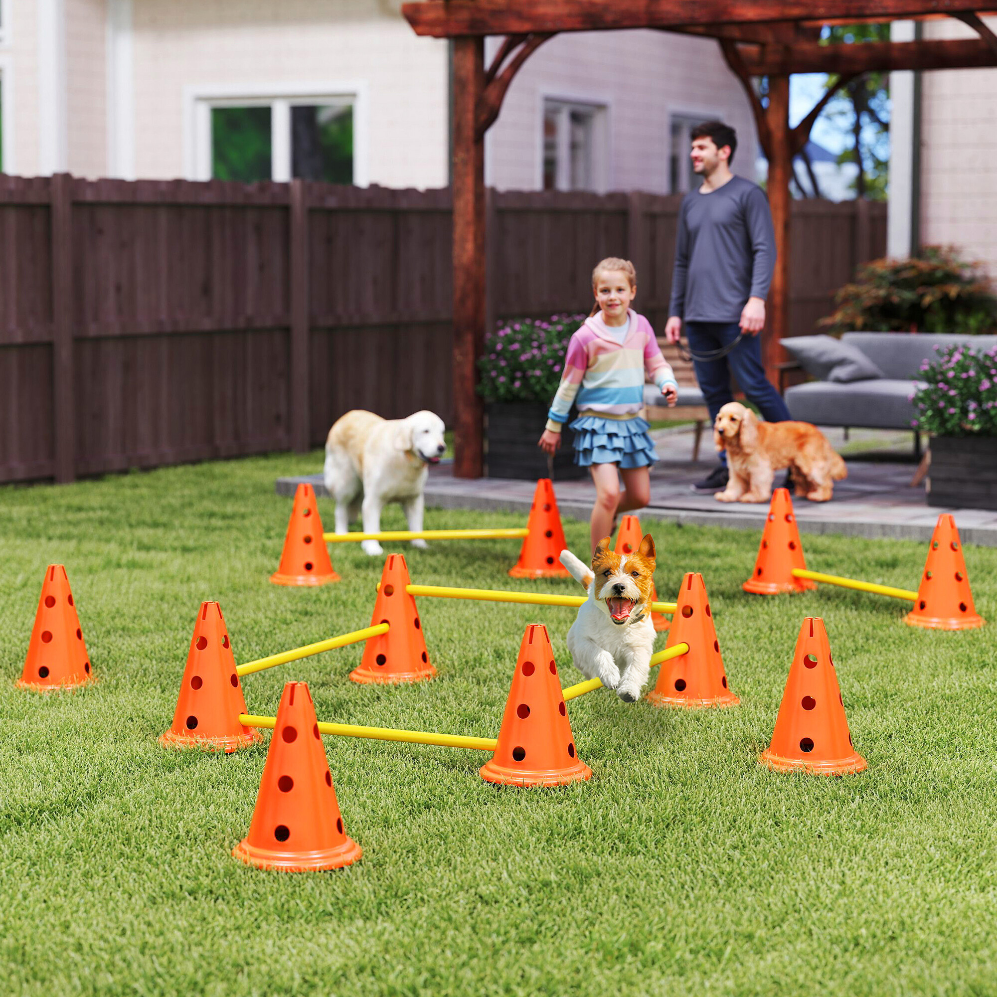 PawHut Hund Agility Set orange Kunststoff B/H/L: ca. 22,5x30x80 cm