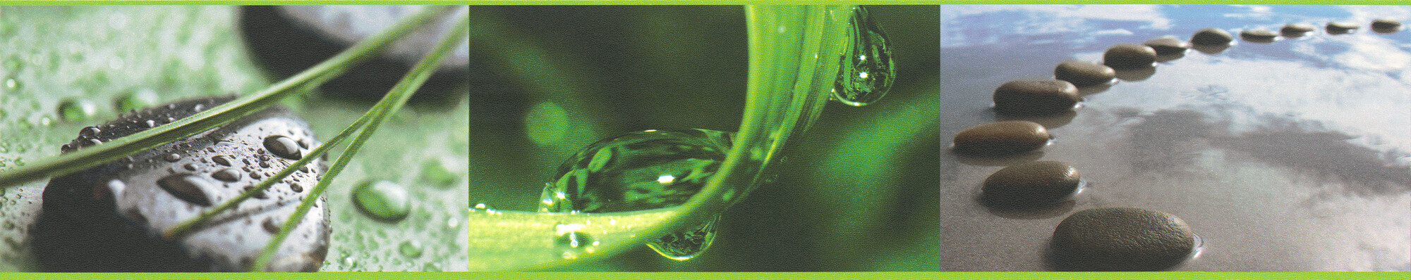 A.S.Creation Bordüre schwarz grün braun B/H/D: ca. 10x500x5,5 cm