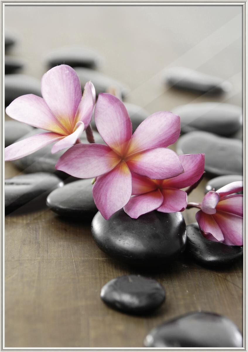 The Wall Bilderrahmen silber Kunststoff B/L: ca. 70x100 cm