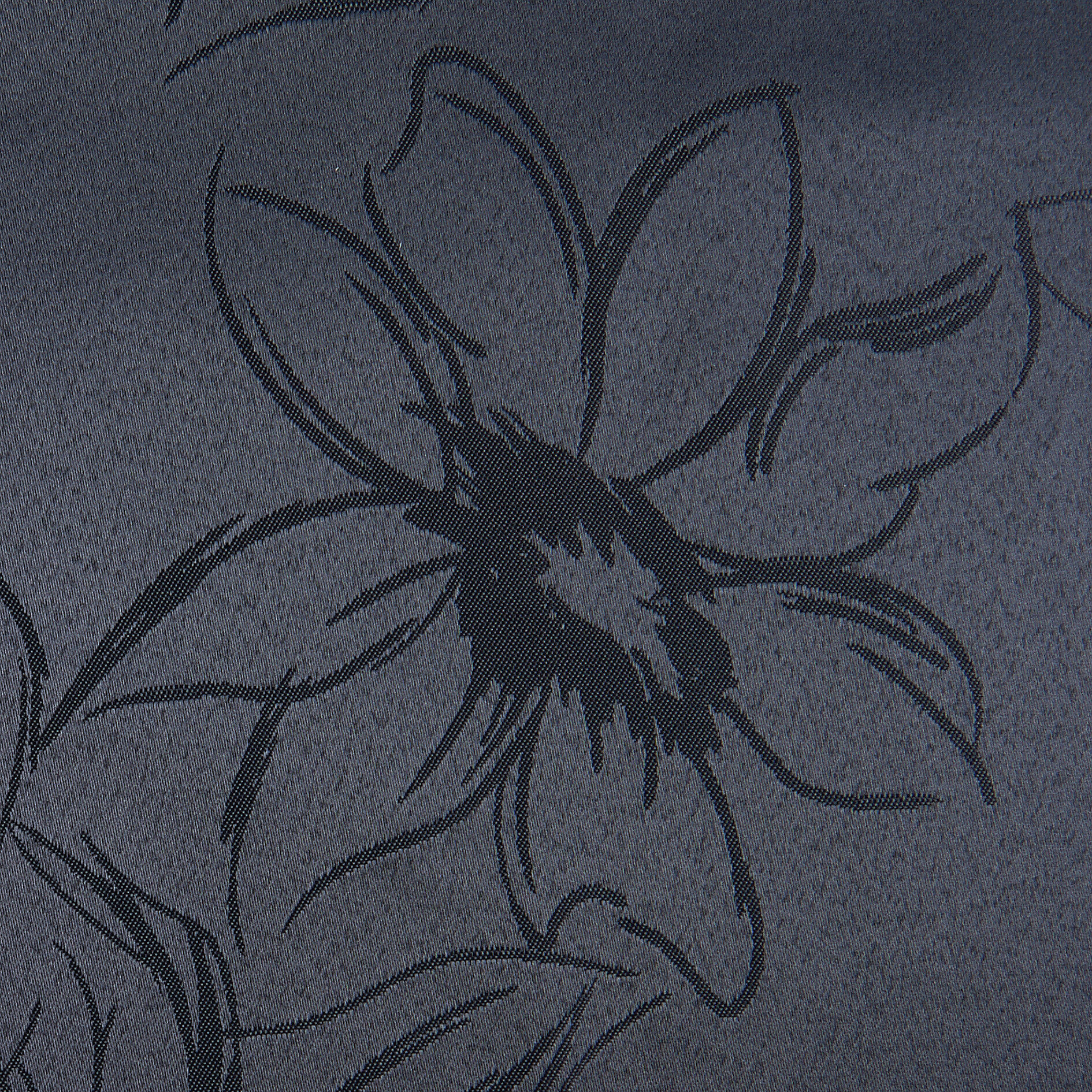 ACUS design collection Dekovorhang Paradiso anthrazit B/L: ca. 140x175 cm