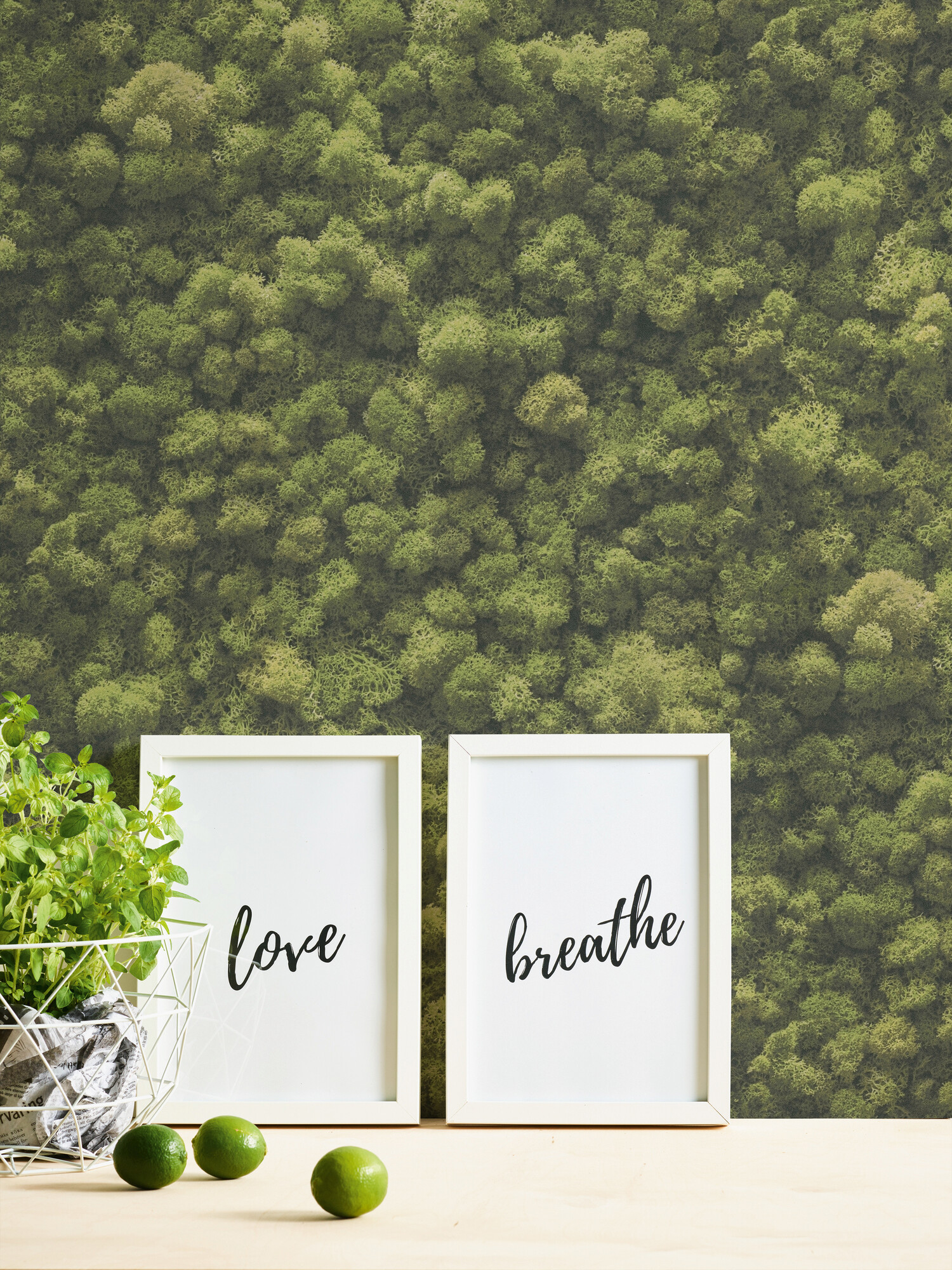 A.S.Creation Vliestapete grün B/H/D: ca. 53x1005x8 cm