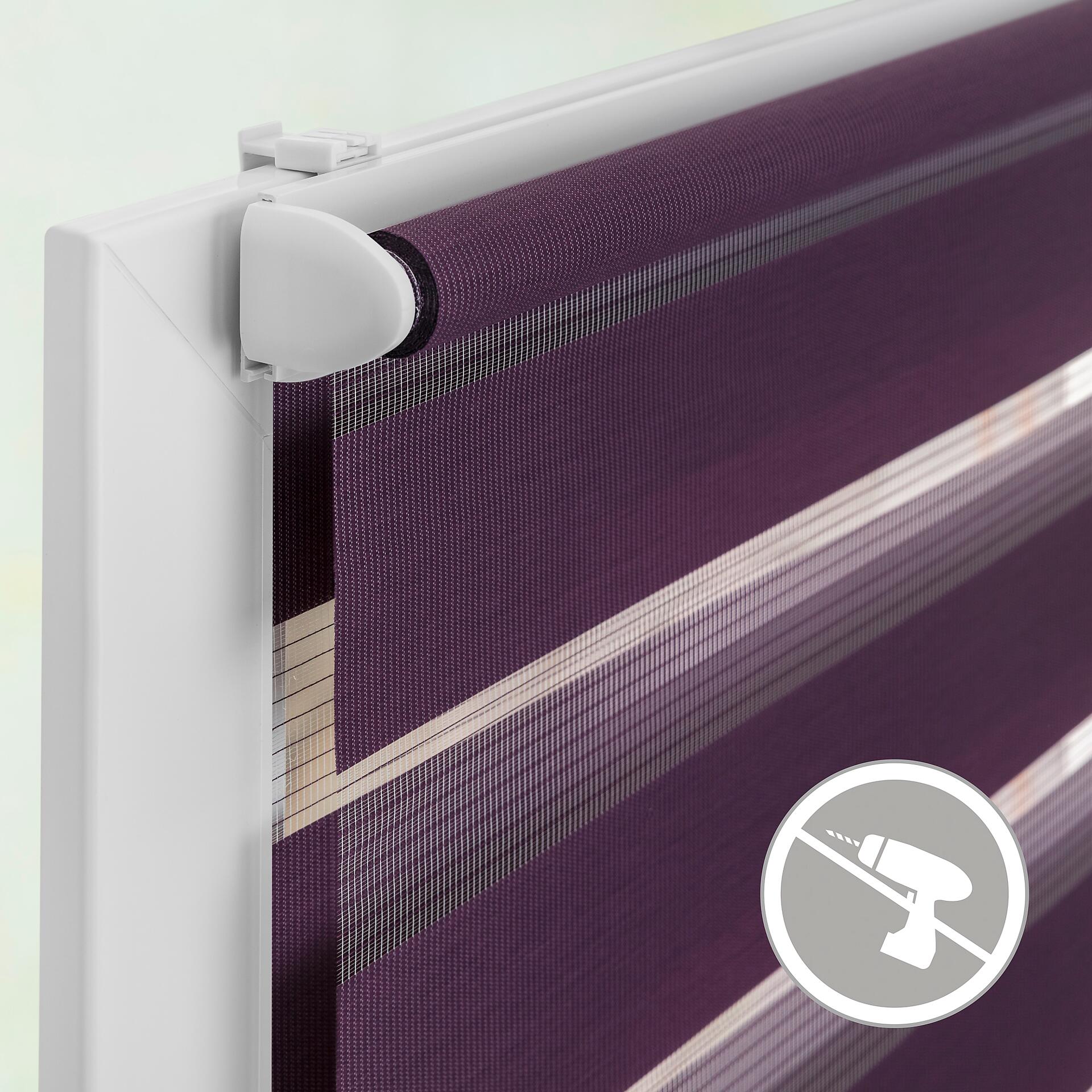 LICHTBLICK Doppelrollo Duo brombeer B/L: ca. 100x150 cm