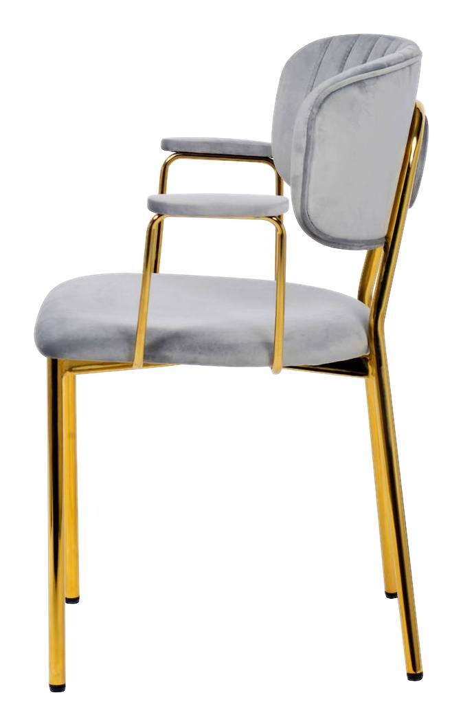 Stuhl Kian 200 2er-Set grau Microfaser B/H/T: ca. 63x80x51 cm