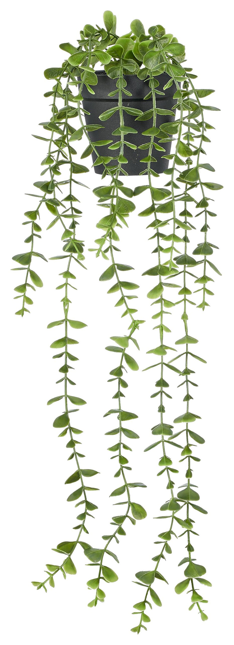 Kunstpflanze grün Kunststoff B/H/L: ca. 10x10x50 cm