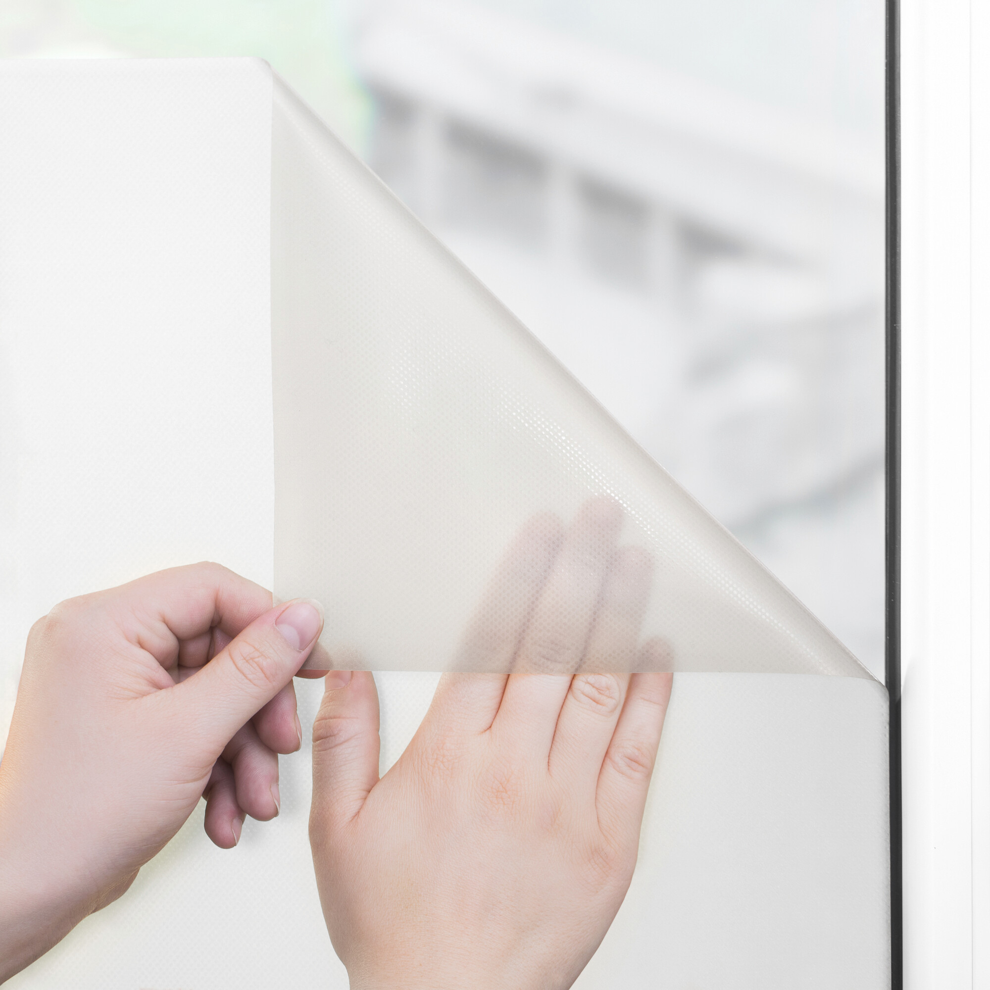 LICHTBLICK Fensterfolie Wiese Floral Wiese grün B/L: ca. 50x50 cm