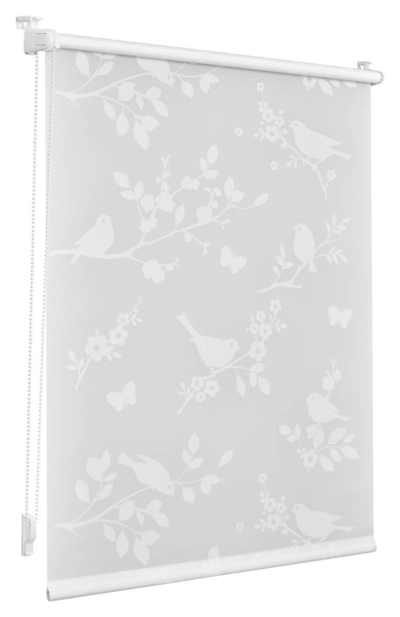 LICHTBLICK Rollo Pflanze