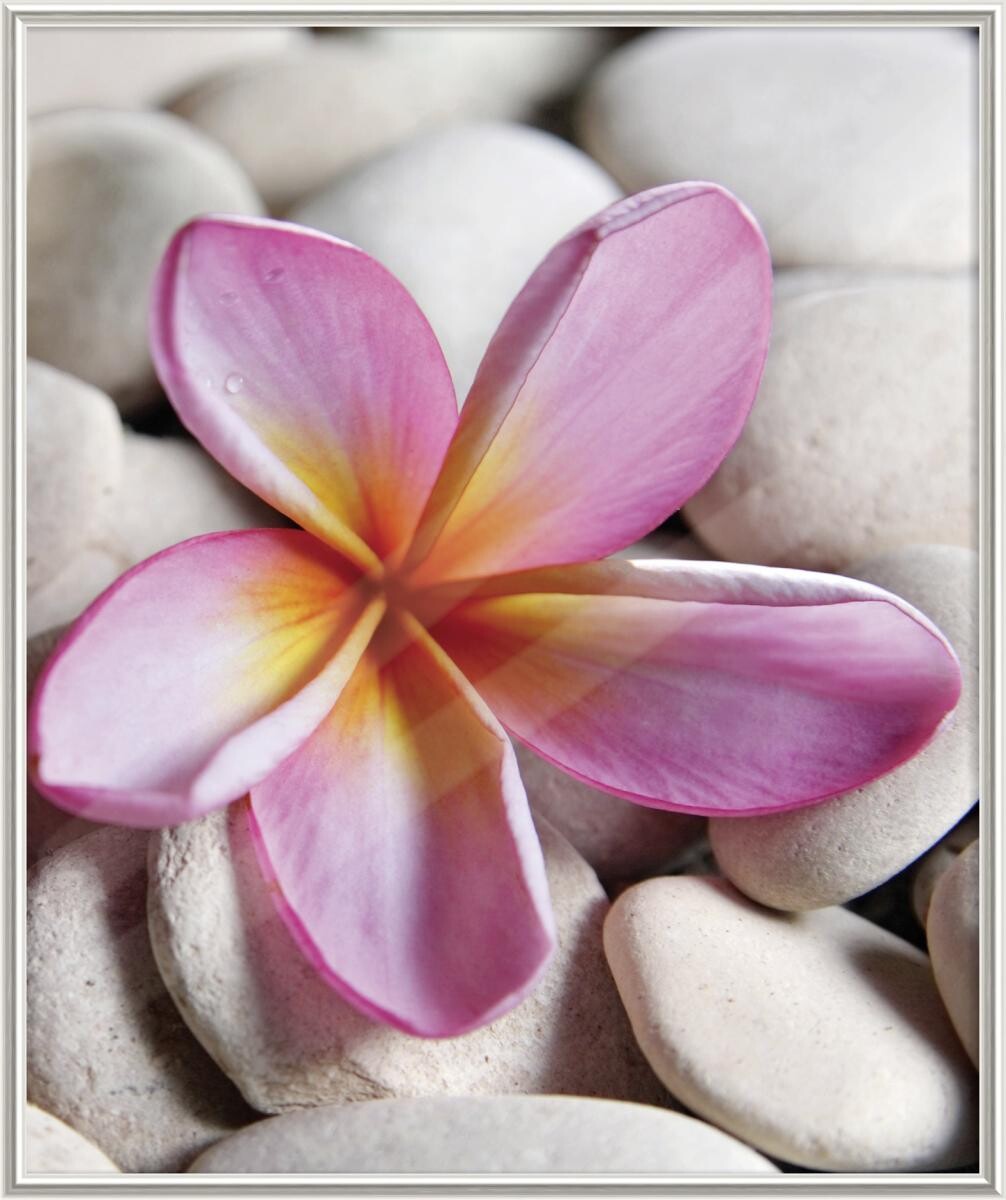 The Wall Bilderrahmen silber Kunststoff B/L: ca. 50x60 cm The Wall Bilderrahmen silber Kunststoff B/L: ca. 50x60 cm