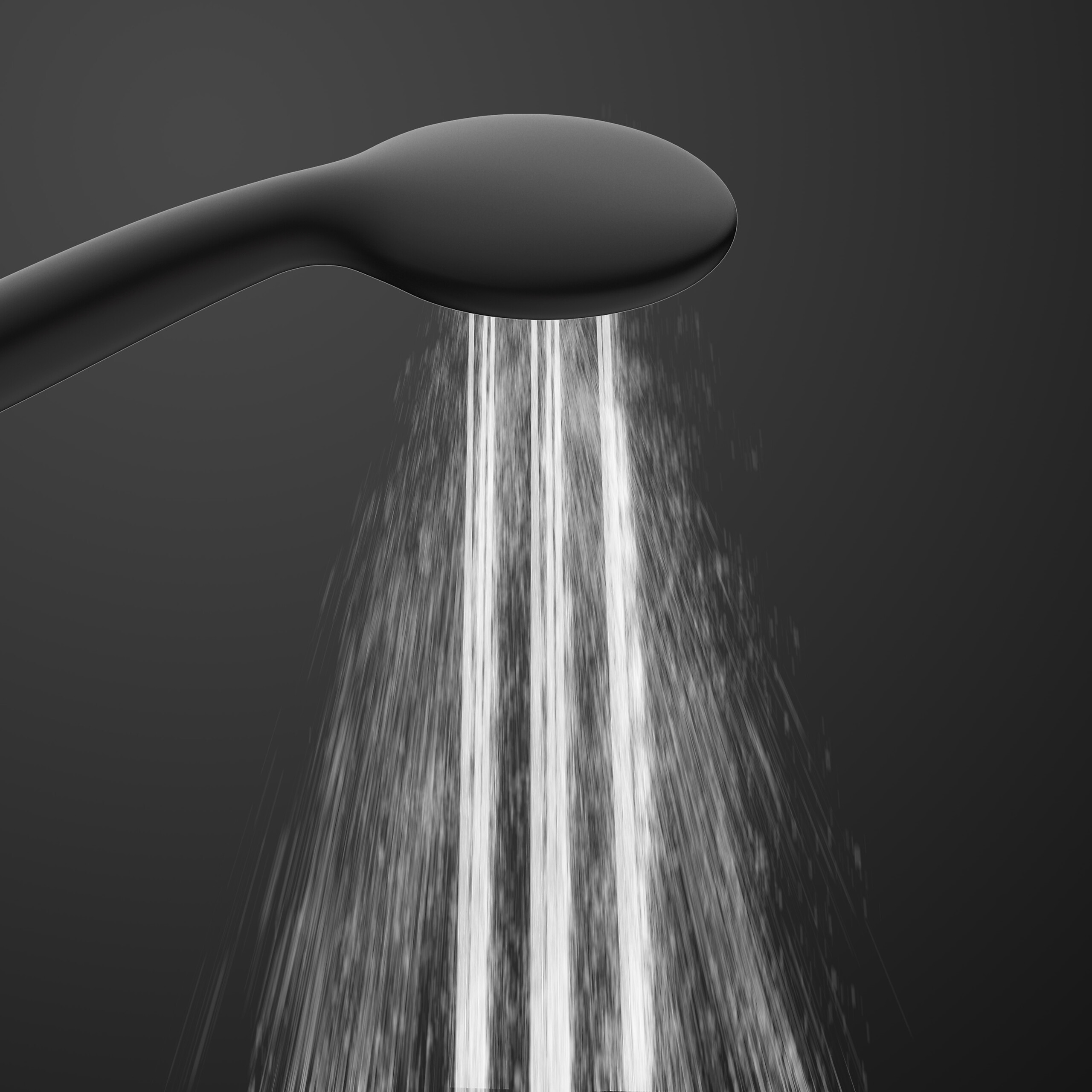 Eisl Handbrause Leon schwarz