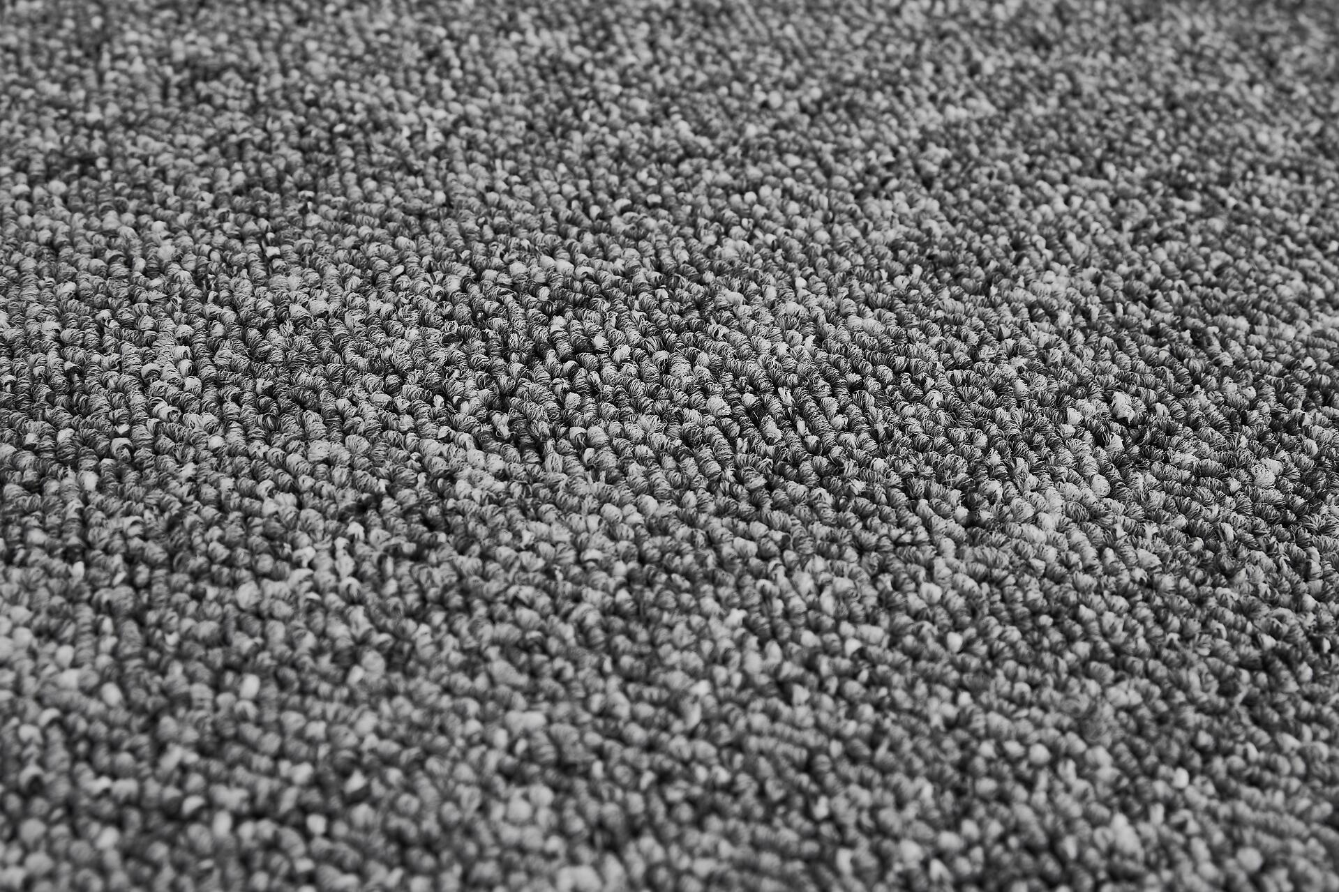 Teppichboden Rico grau B/L: ca. 200x300 cm pro Stück