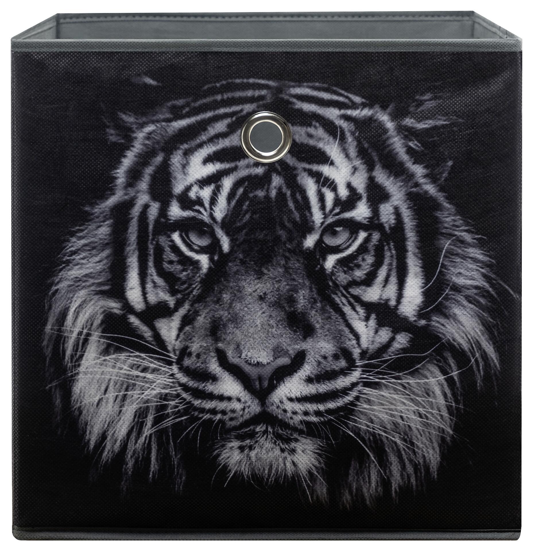 Motivbox Wildlife anthrazit B/H/T: ca. 32x32x32 cm