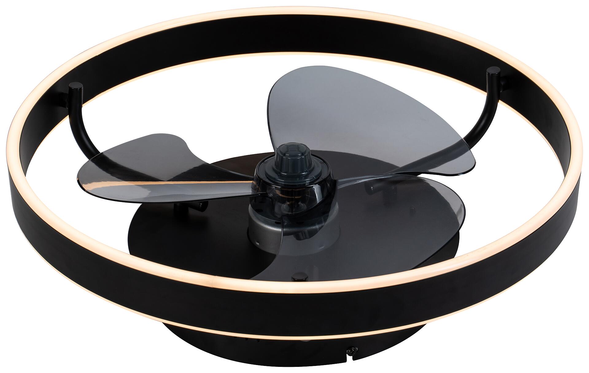 POCOline LED-Deckenventilator Hilko schwarz B/H/L: ca. 50x16x50 cm max. 40 W