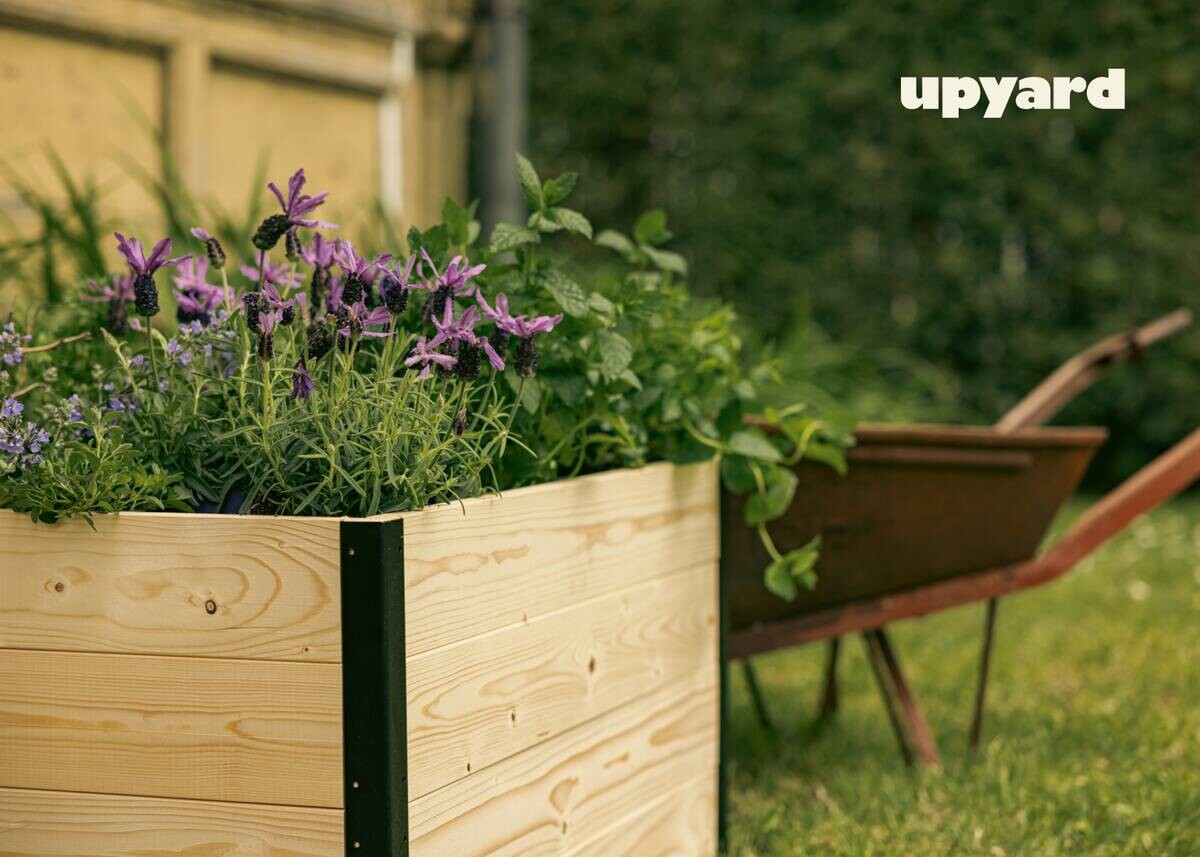 UPYARD Hochbeet MODERN natur Holz B/H/L: ca. 60x40x80 cm