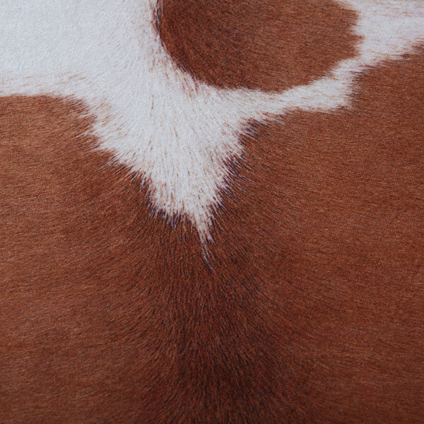 Obsession Fellimitat My Toledo braun B/L: ca. 155x190 cm