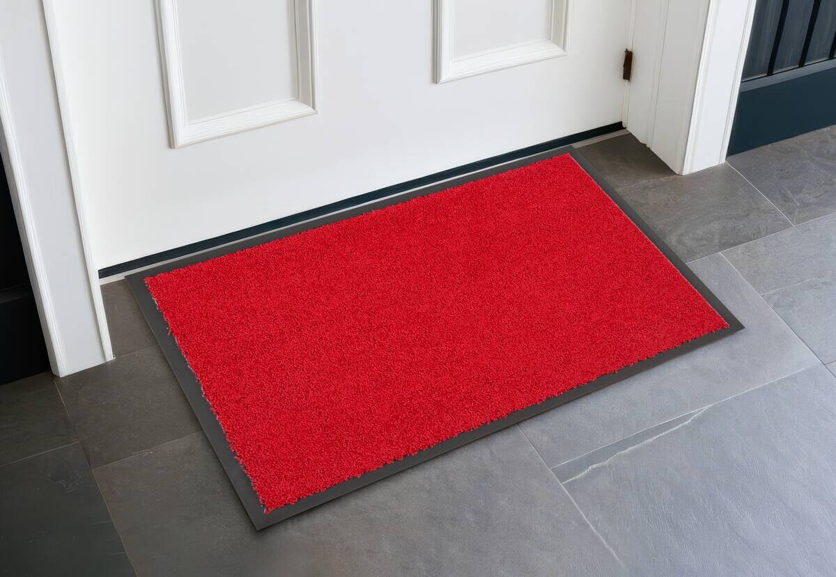 Schmutzfangmatte Future rot B/L: ca. 40x60 cm