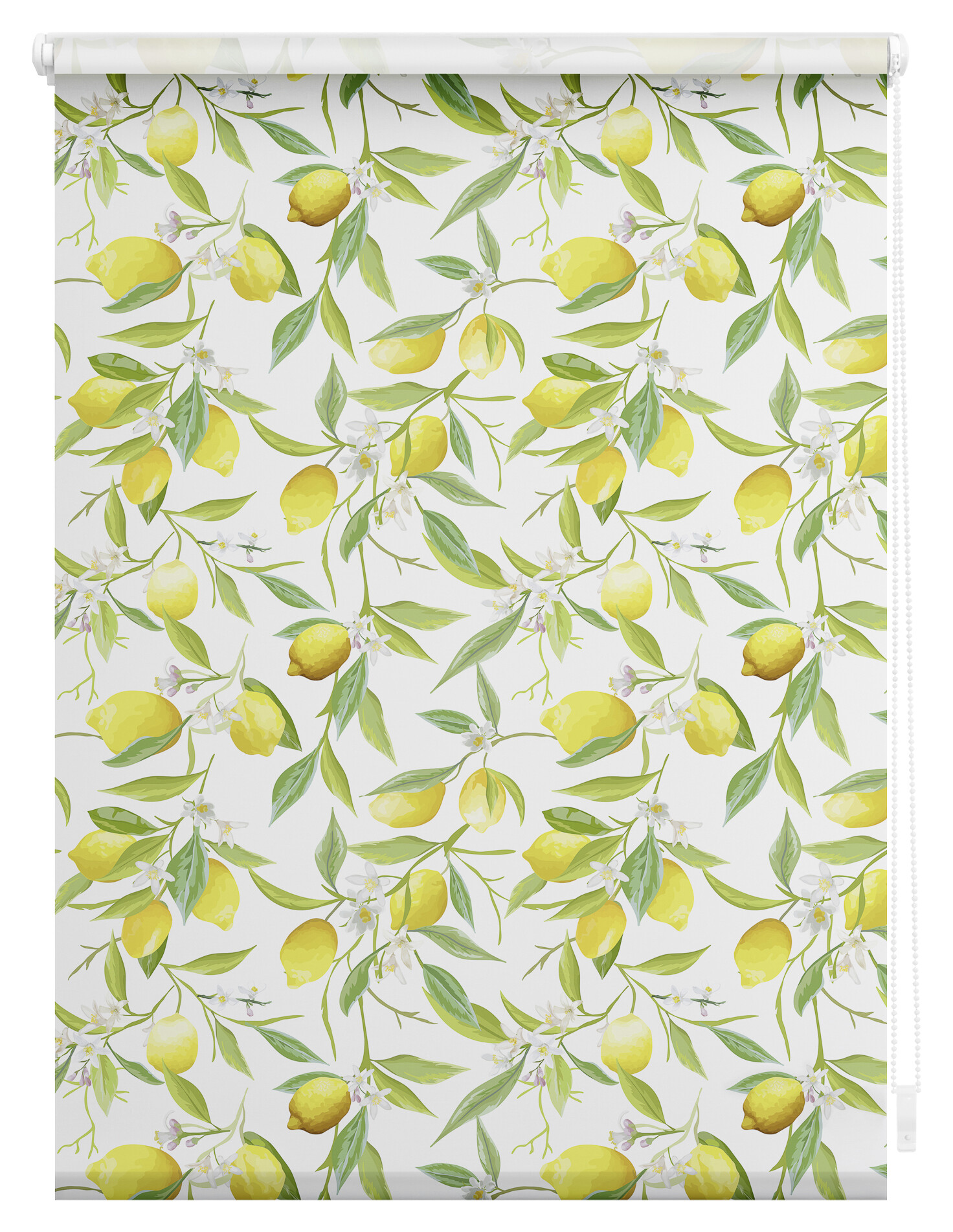 LICHTBLICK Verdunkelungsrollo Limone gelb B/L: ca. 90x150 cm