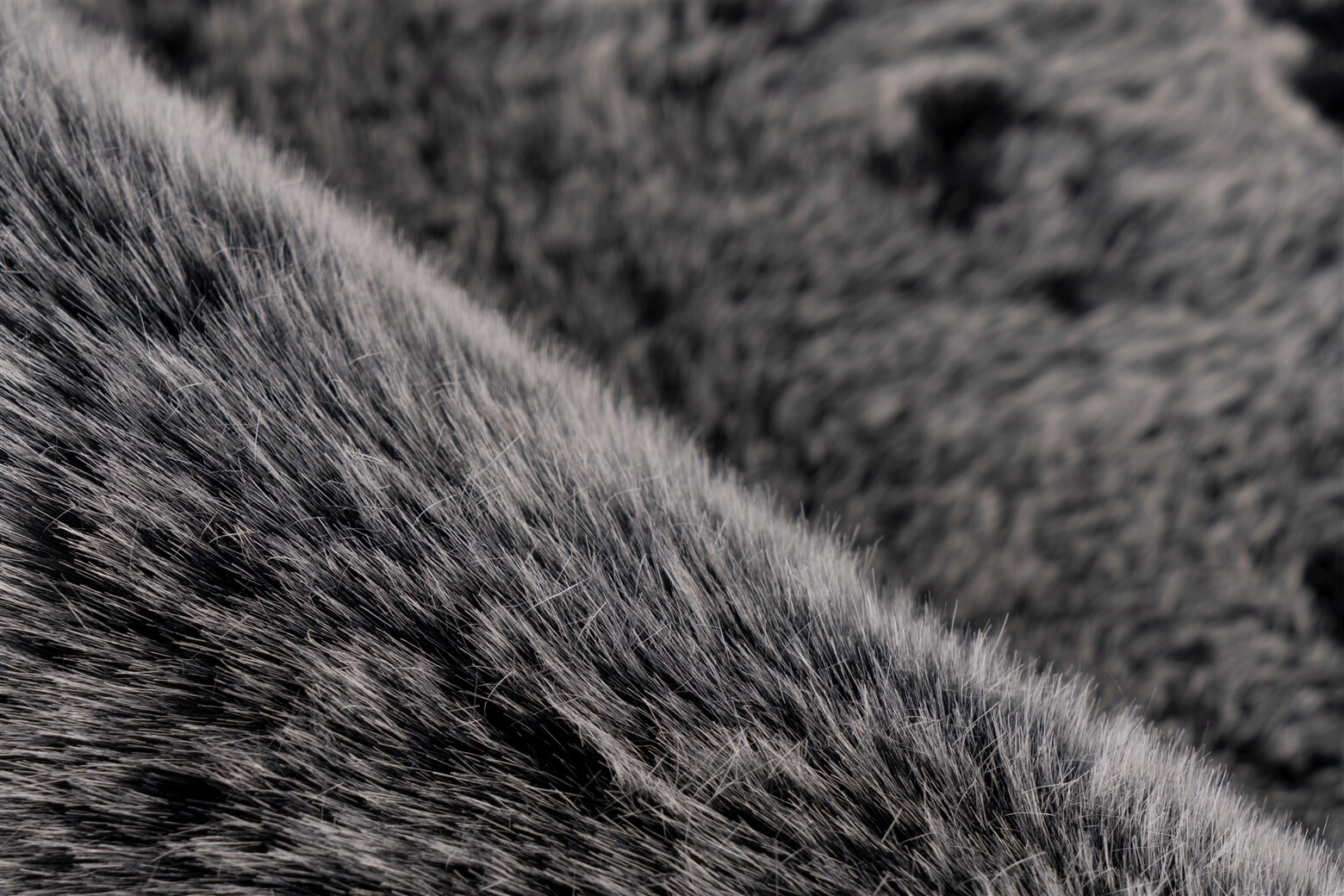 me gusta Hochflorteppich Tender 125 anthrazit B/H/L: ca. 80x5,2x150 cm