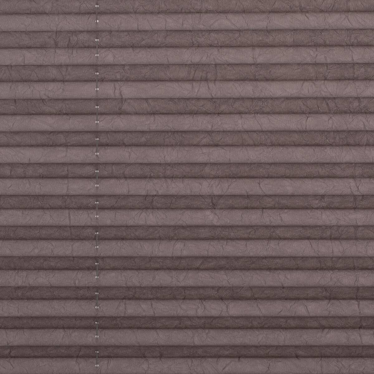 LICHTBLICK Spannplissee taupe B/L: ca. 85x130 cm