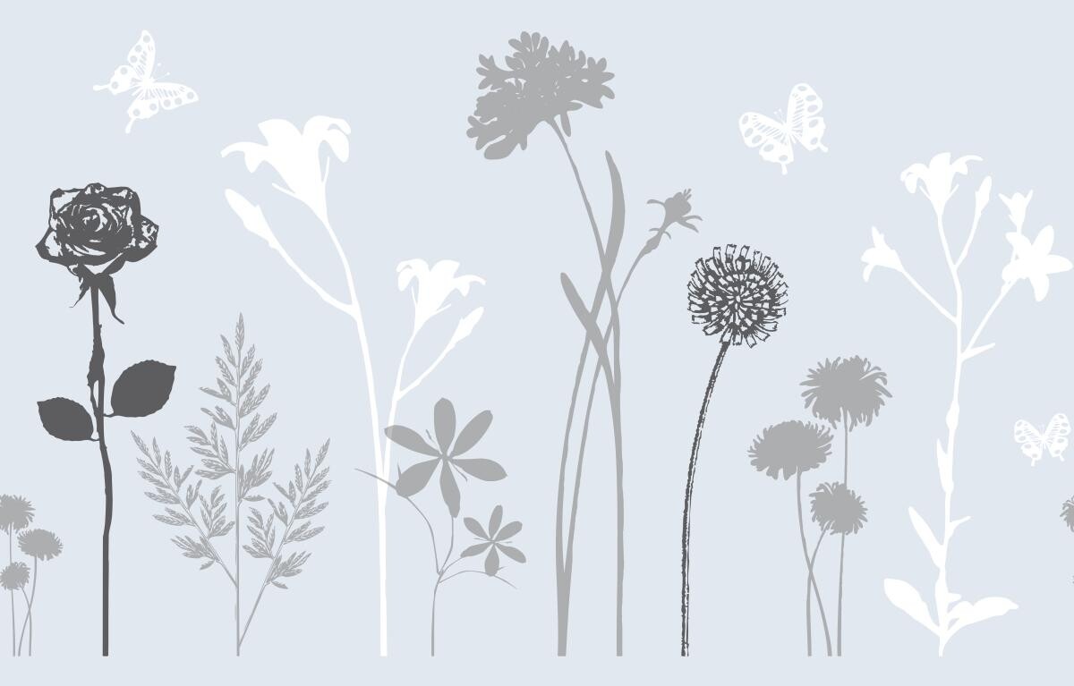 d-c-fix Fensterfolie Blumen transparent B/L: ca. 45x150 cm