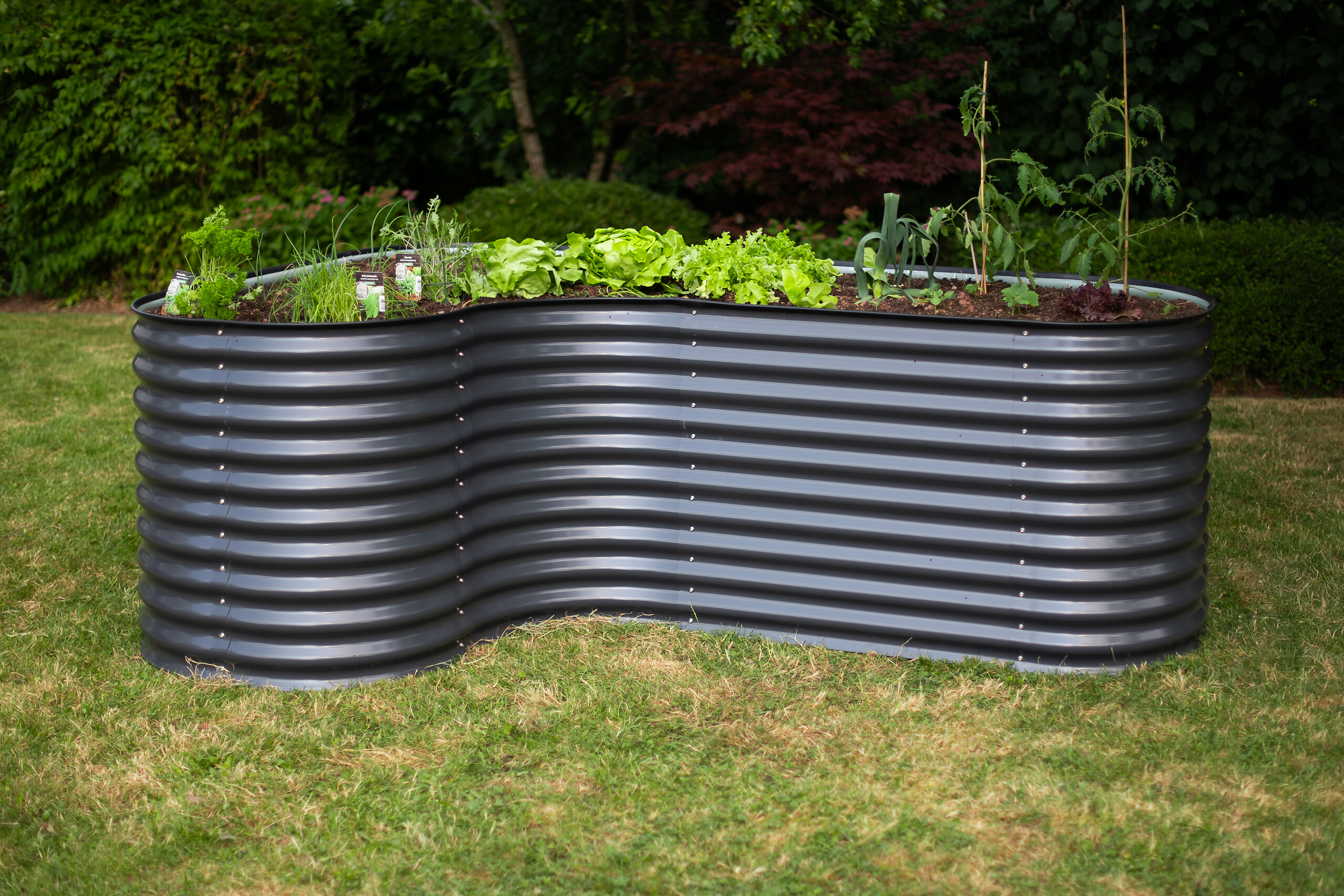 Westmann Hochbeet Grow Faster anthrazit Stahl B/H/L: ca. 160x82x240 cm