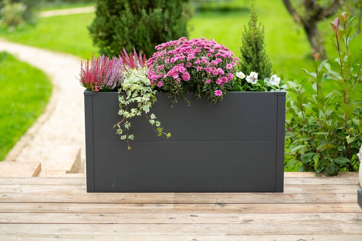 Westmann Pflanzkasten Talus anthrazit Metall B/H/L: ca. 100x52x25 cm