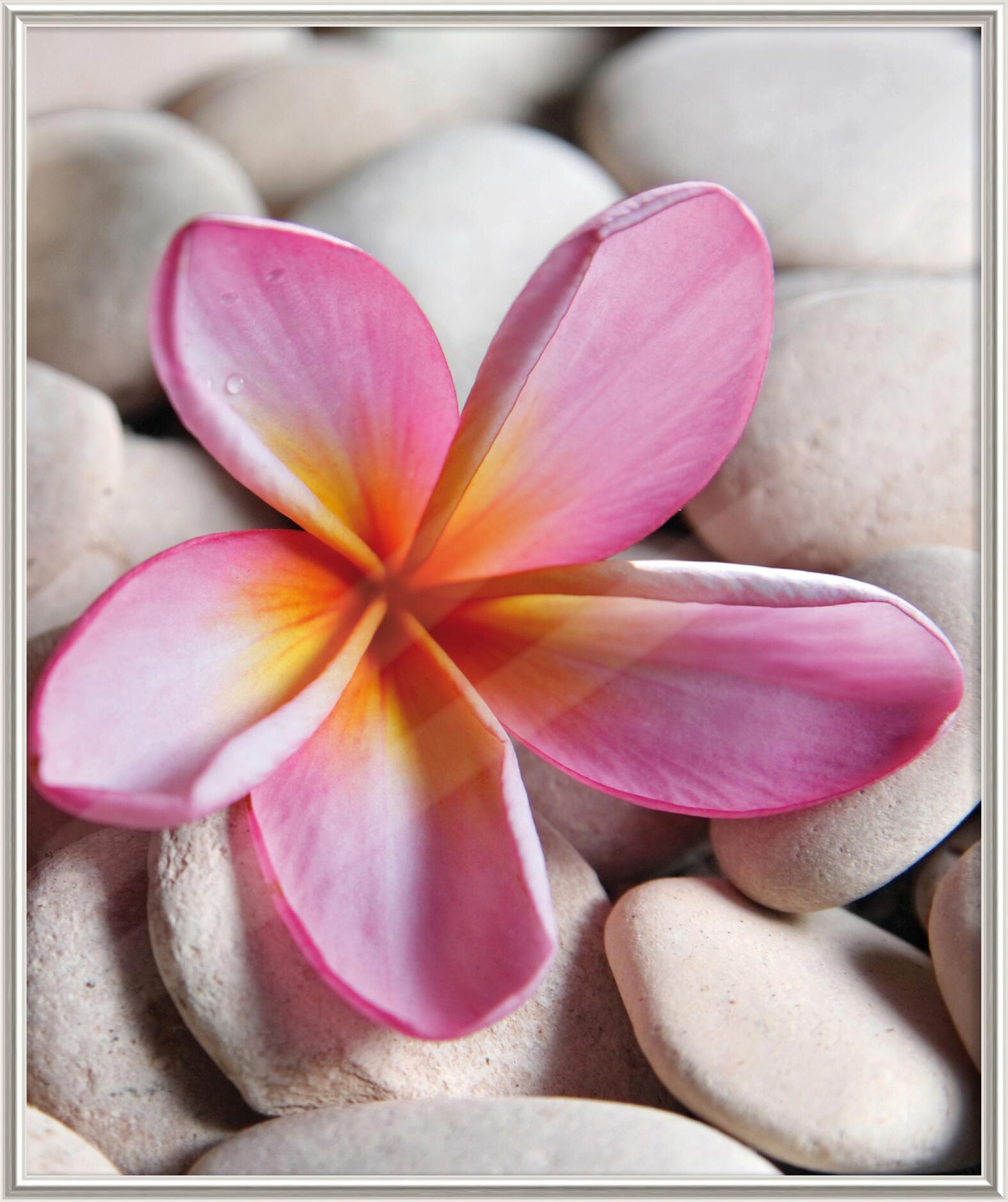 The Wall Bilderrahmen silber Kunststoff B/L: ca. 50x60 cm