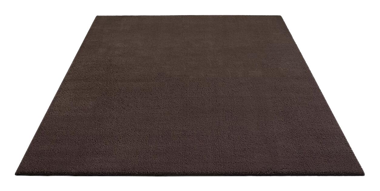 Teppich Loft braun B/H/L: ca. 80x12x300 cm