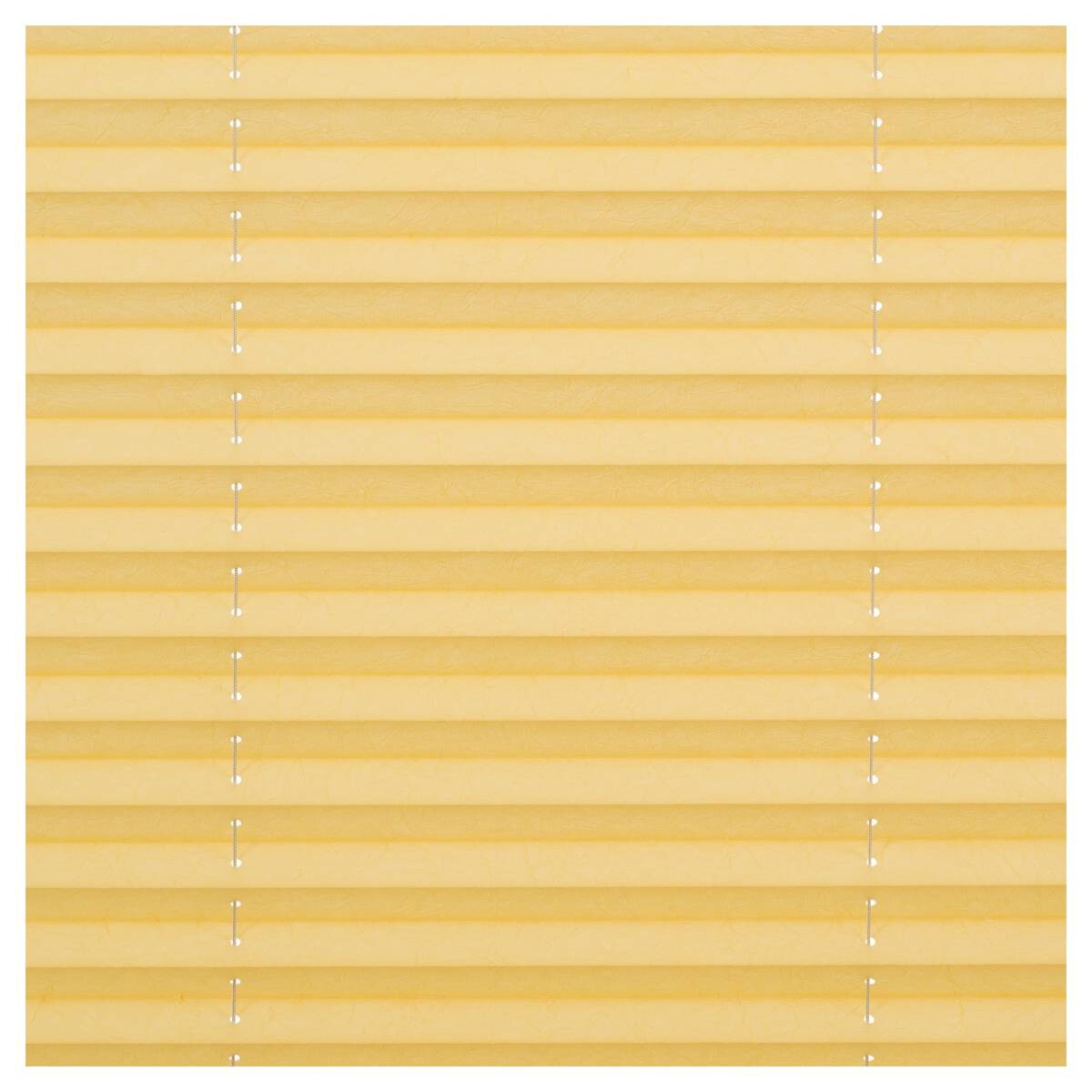 LICHTBLICK Spannplissee gelb B/L: ca. 50x130 cm