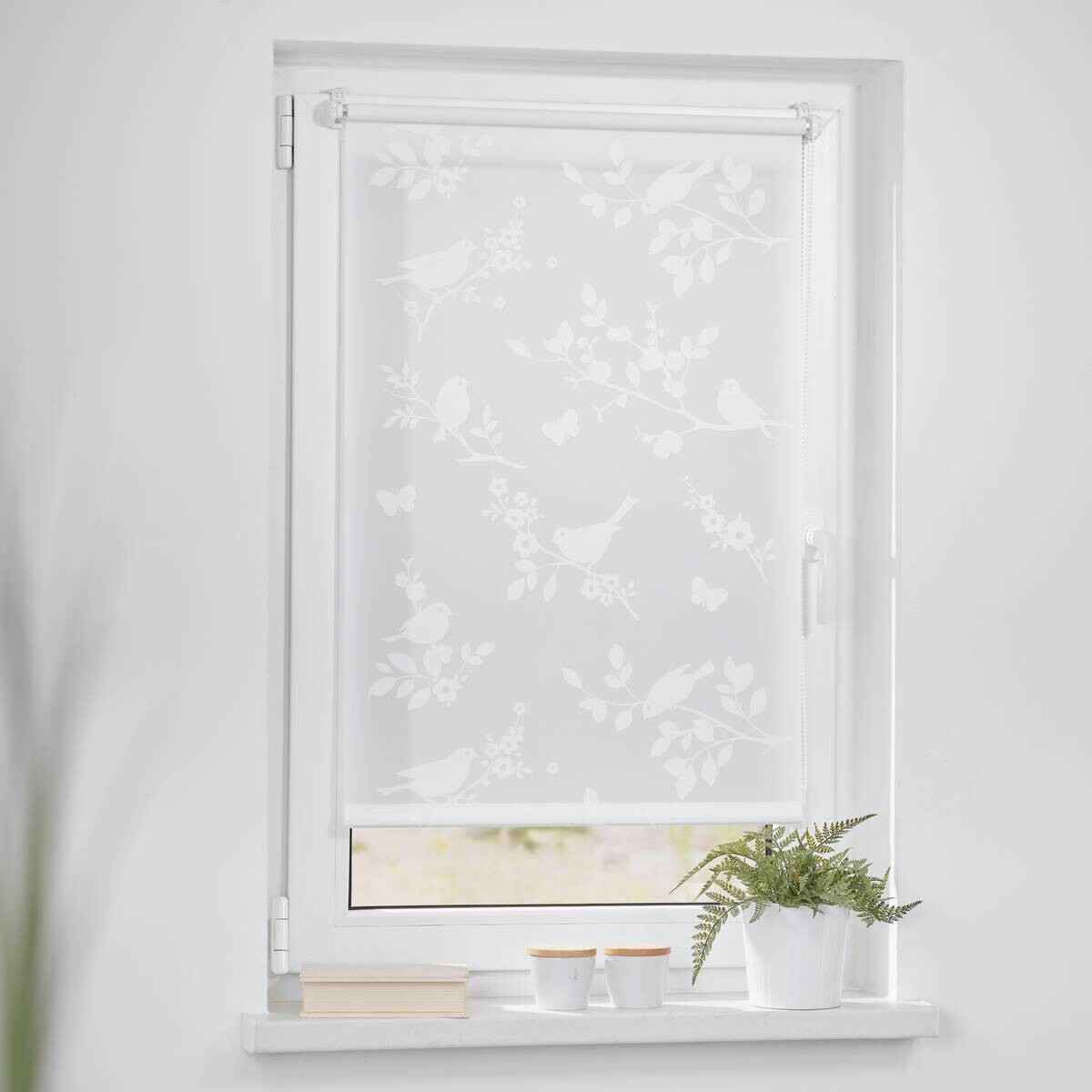 LICHTBLICK Rollo Pflanze