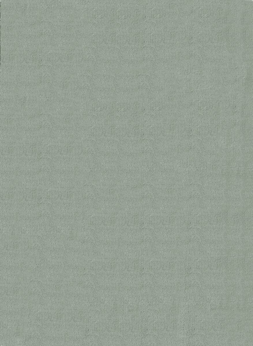 Teppich Cozy grün B/H/L: ca. 80x12x150 cm