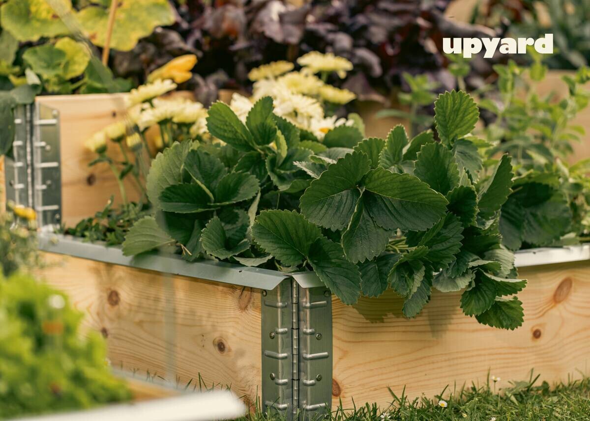 UPYARD Hochbeet INDUSTRIAL natur Holz B/L: ca. 80x120 cm