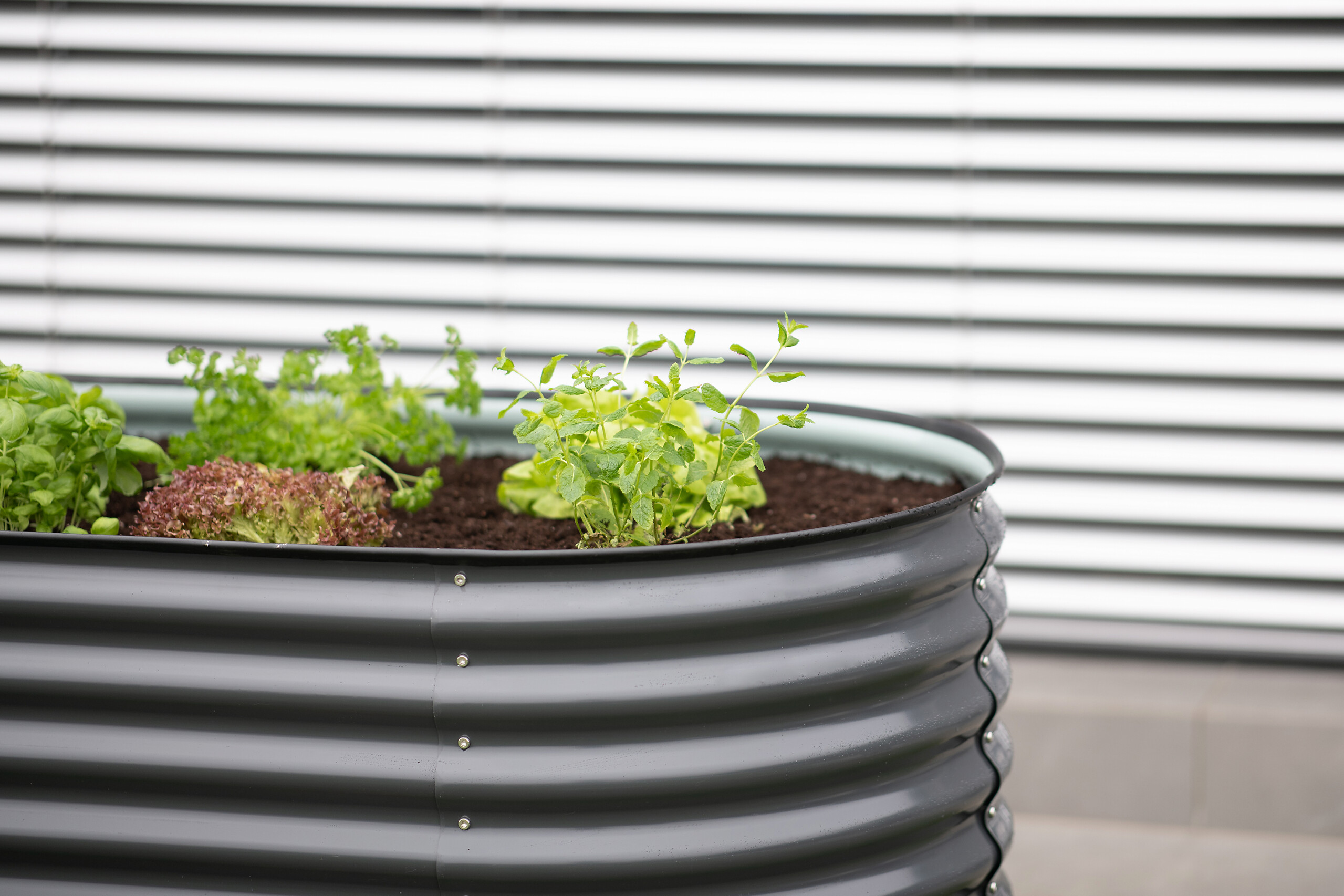 Westmann Hochbeet Oval anthrazit Metall B/H/L: ca. 80x82x160 cm