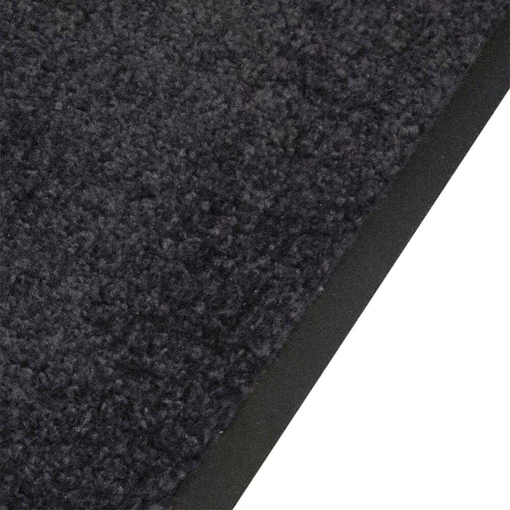 Schmutzfangmatte Alpha schwarz B/L: ca. 40x60 cm