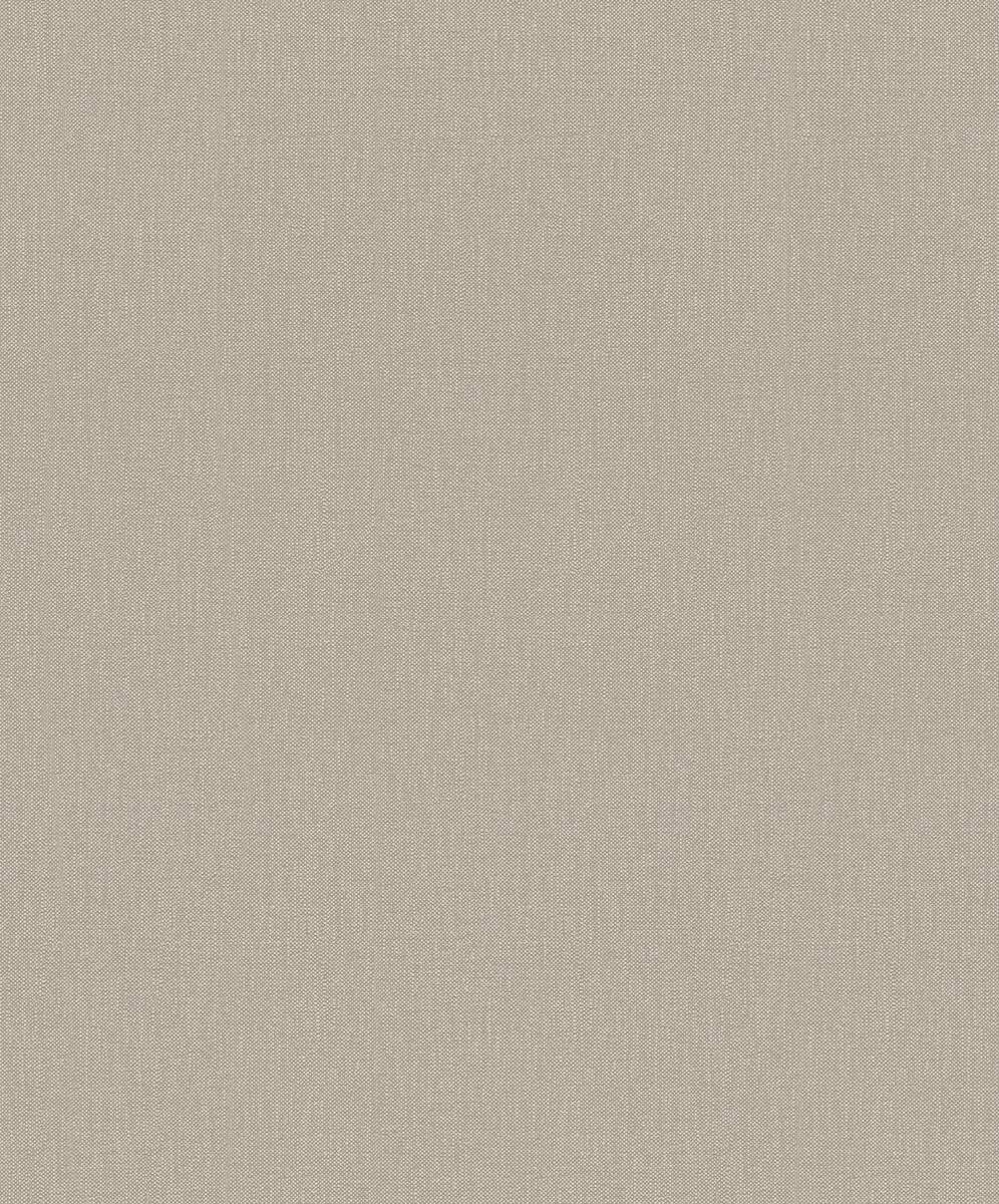 A.S.Creation Vliestapete Styleguide Natural Colours 2021 Uni braun B/L: ca. 53x1005 cm