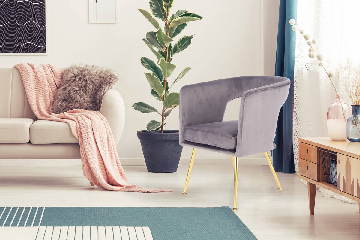 Stuhl Jolene 100 grau Microfaser Samt B/H/T: ca. 60x77x63 cm