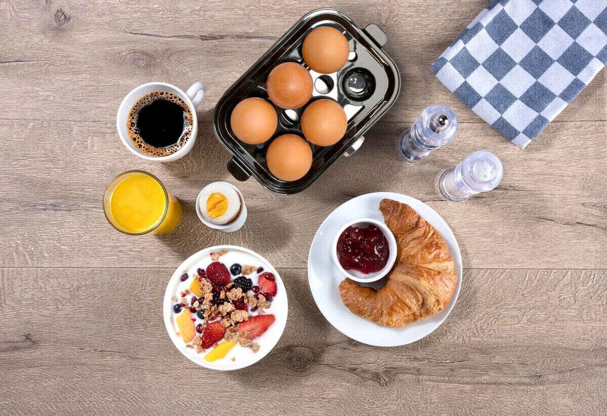 alpina Eierkocher silber