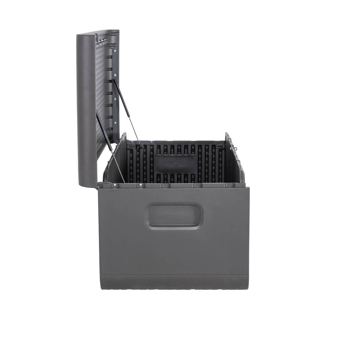 Lifetime Kissen- & Auflagenbox Space anthrazit Kunststoff B/H/L: ca. 147,1x64,5x72 cm