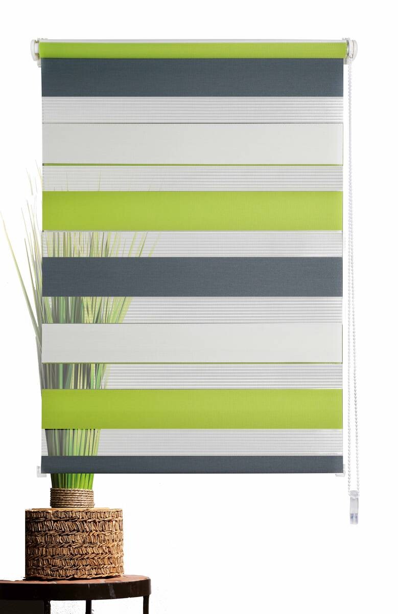 Doppelrollo Just-Triple grün B/L: ca. 100x160 cm