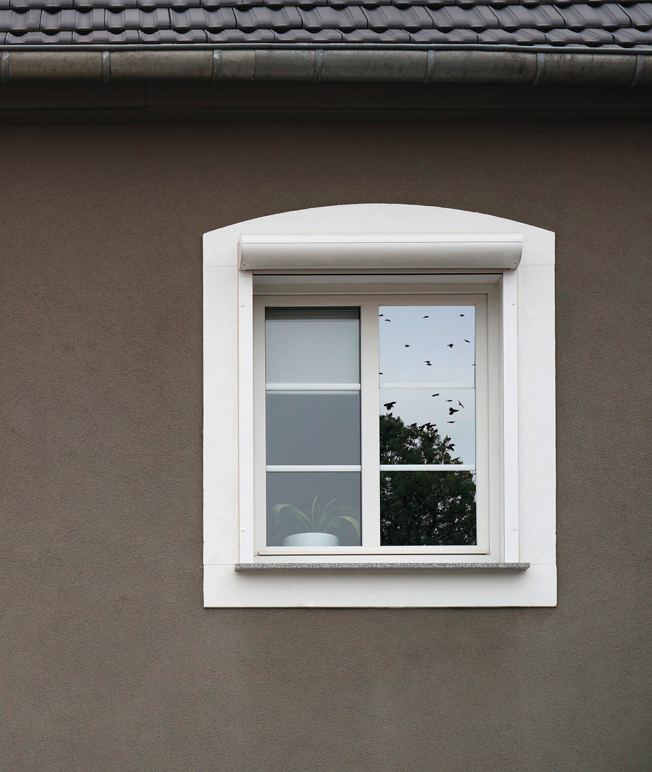 d-c-fix Fensterfolie Spiegelschutz silber B/L: ca. 90x150 cm