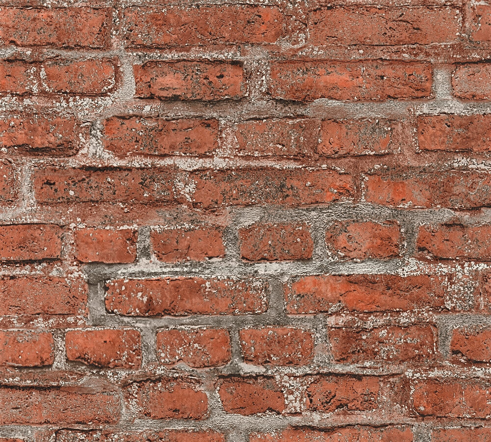 Vliestapete B/L: ca. 53x1005 cm