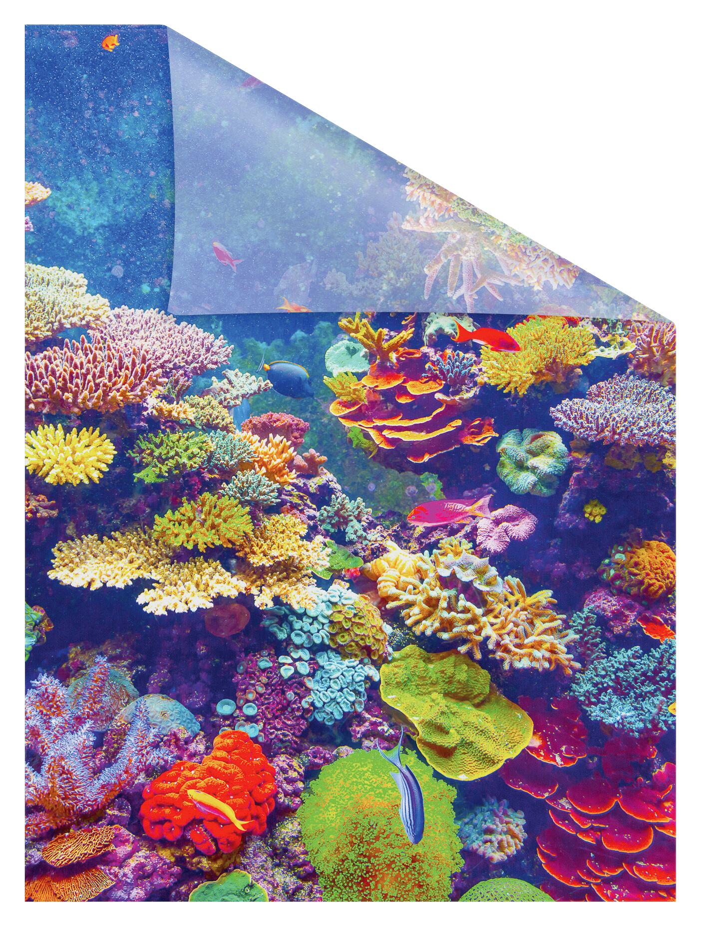 LICHTBLICK Fensterfolie Aquarium Meer Aquarium bunt B/L: ca. 100x100 cm