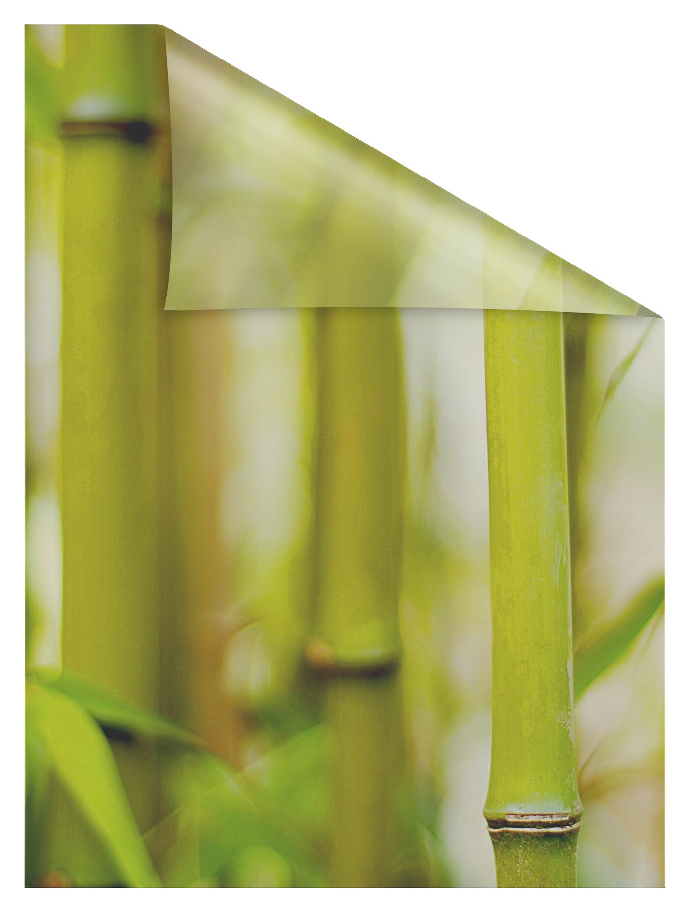 LICHTBLICK Fensterfolie Bambus Floral Bambus grün B/L: ca. 50x100 cm