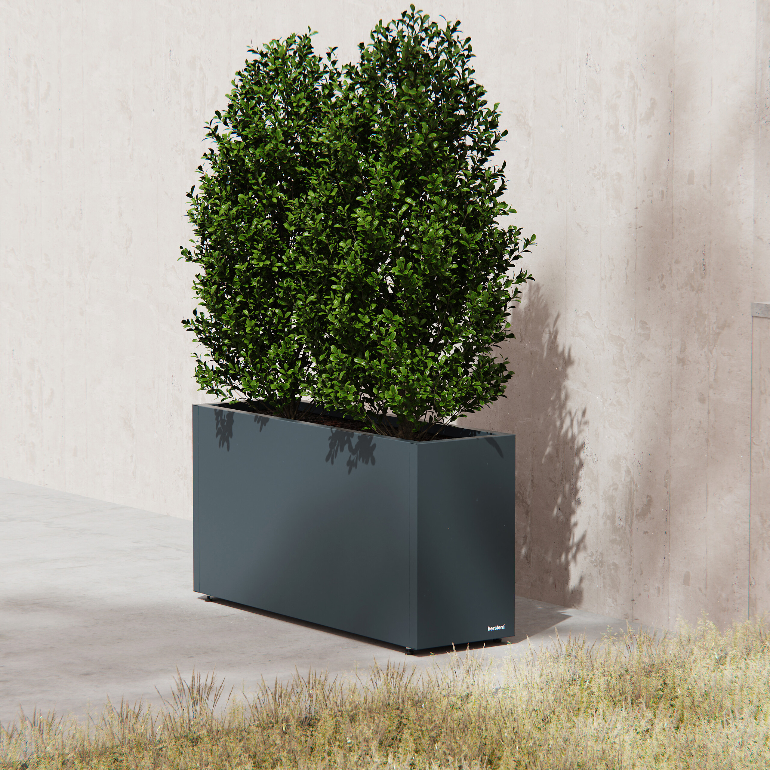 Herstera Garden Pflanzkübel Cube anthrazit Metall B/H/L: ca. 100x50x30 cm