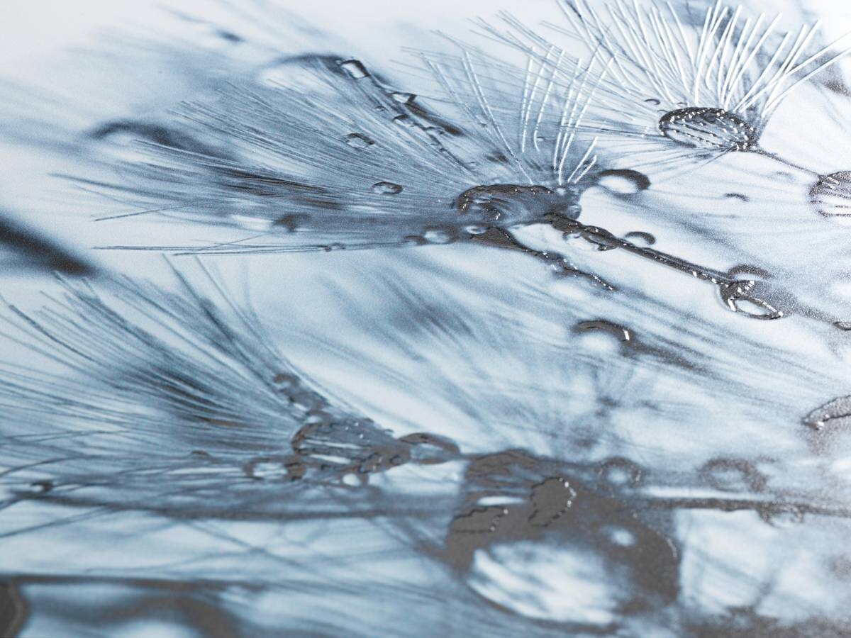 WENKO WC-Sitz Sereno Thermoplast