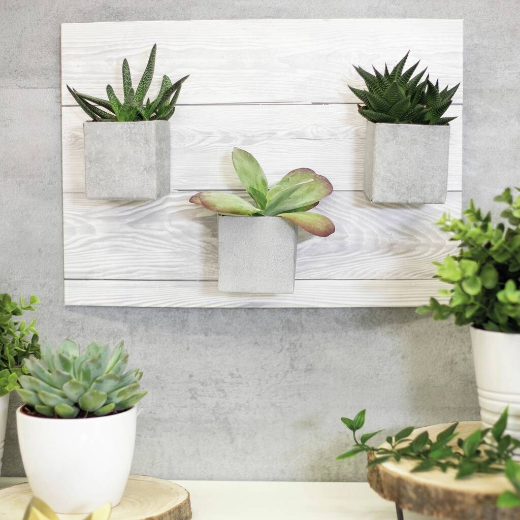 d-c-fix Klebefolie Holzoptik grau weiß B/L: ca. 90x210 cm