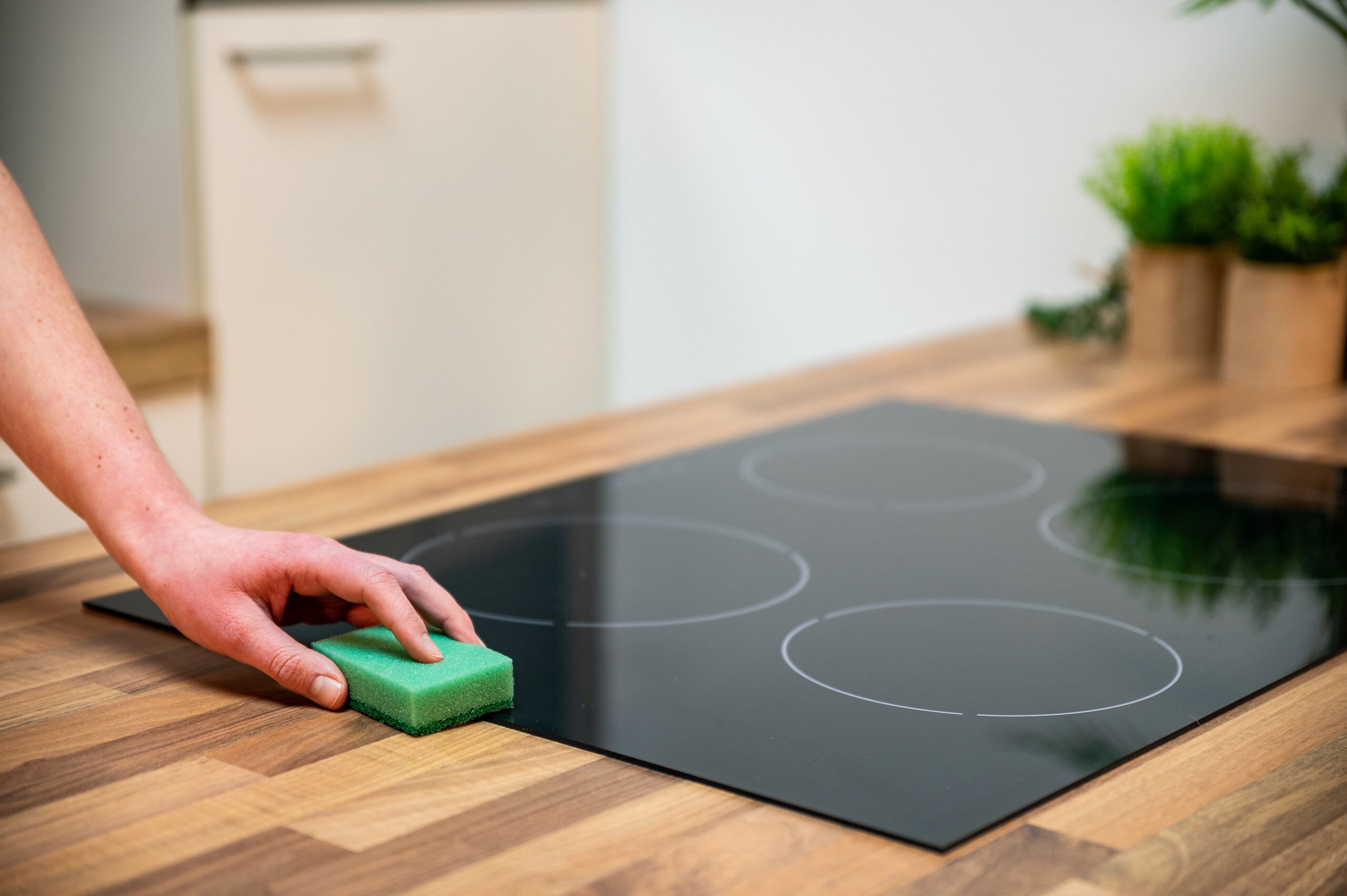 Dirt Devil Scheuerpads