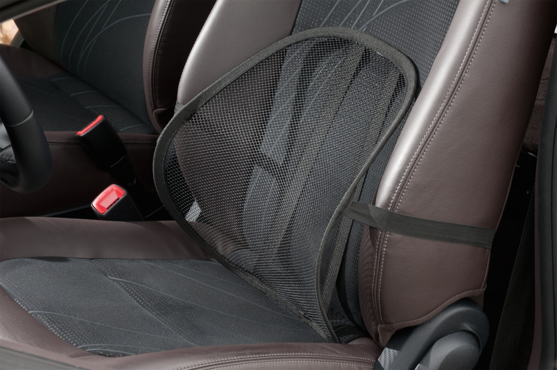 Rückenlehne B/H/L: ca. 12x42x42 cm